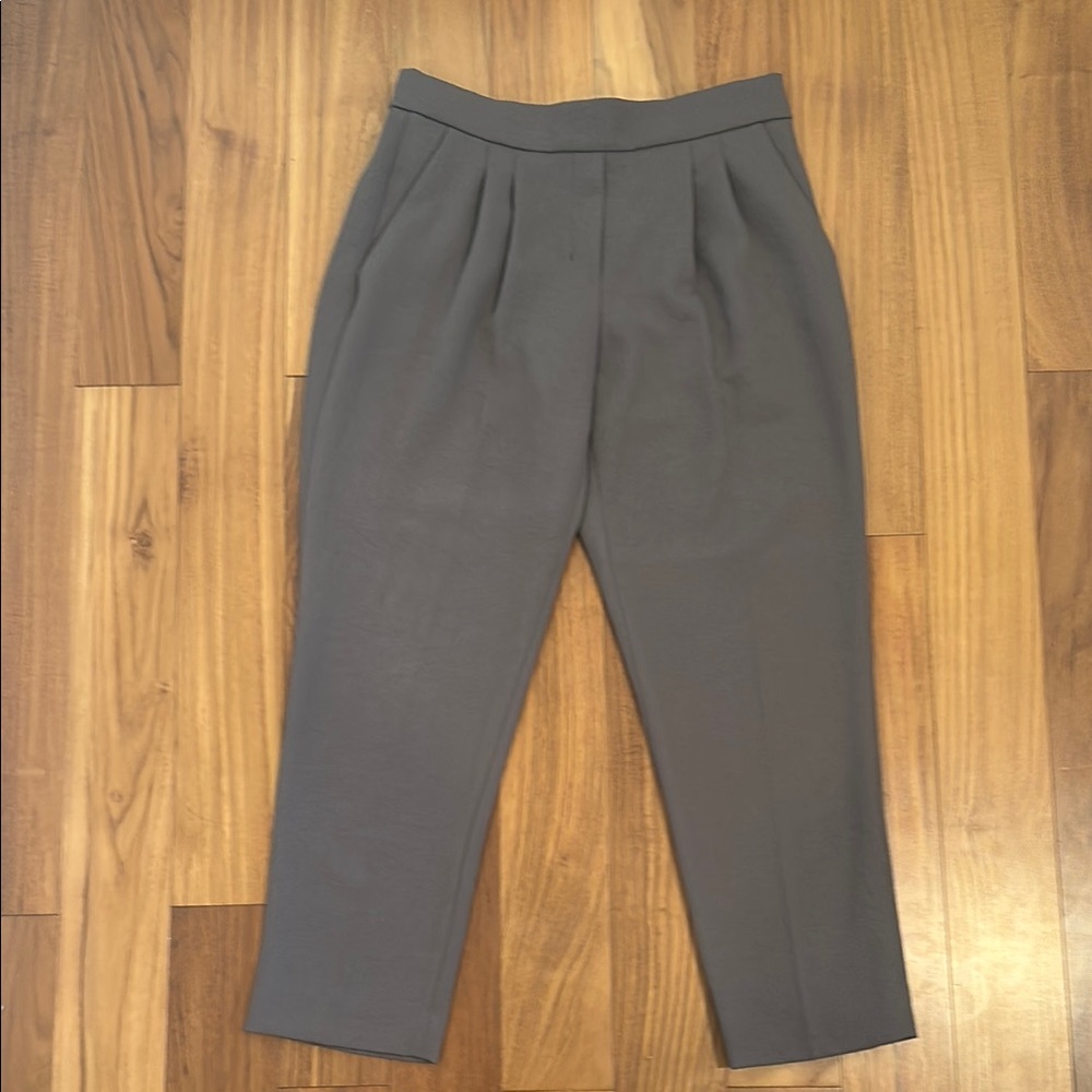 Babaton (aritzia) Gray (on the olive side) Pleated Trousers